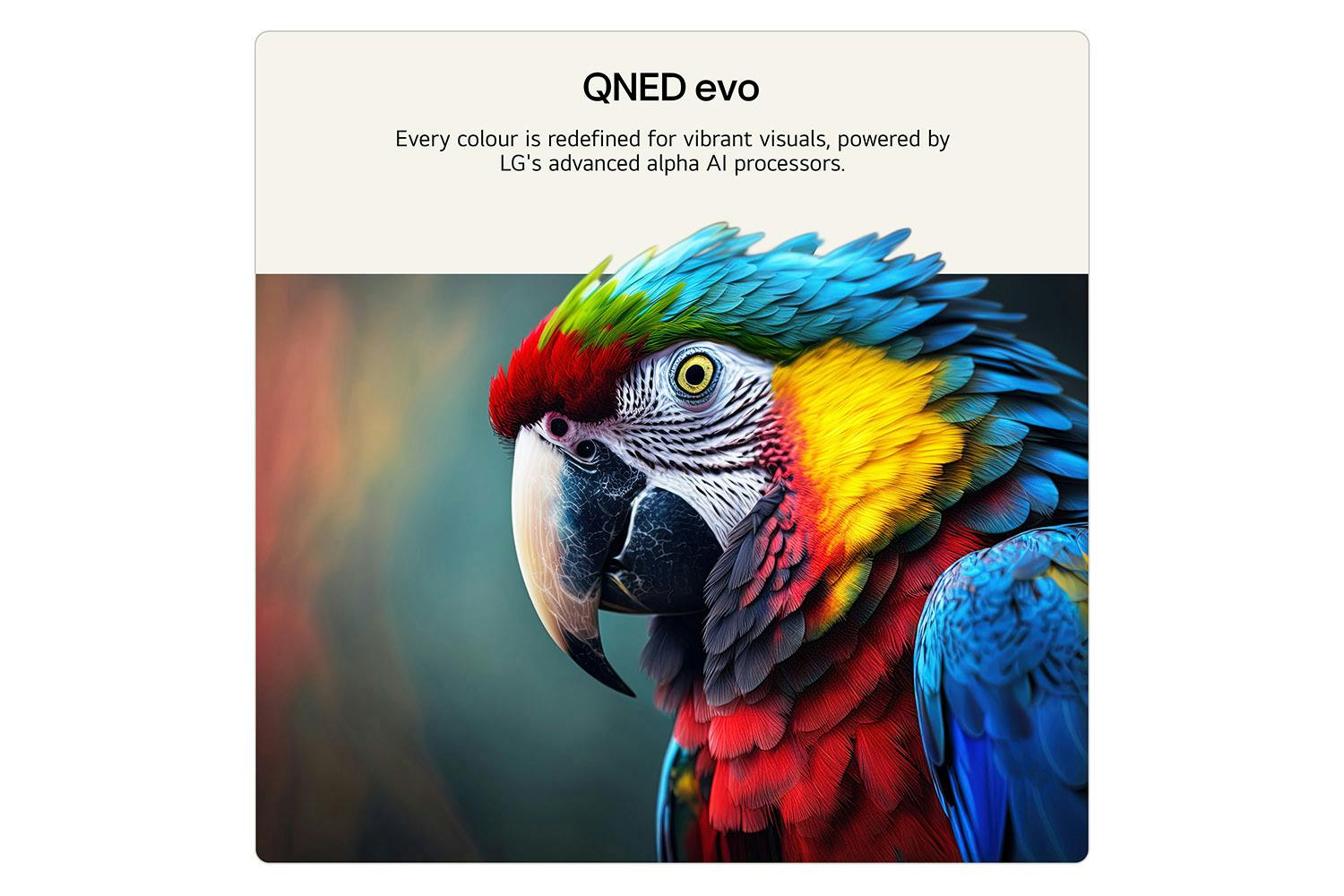 LG 100-inch 4K QNED evo AI Smart TV | 100QNED87B6.AEI