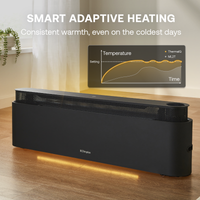 Dimplex Thermaliq Smart Baseboard Heater 2.2kW Smart Black product image
