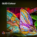 Hisense U7Q 65" Mini LED 4K UHD ULED Gaming Smart TV | 65U7Q