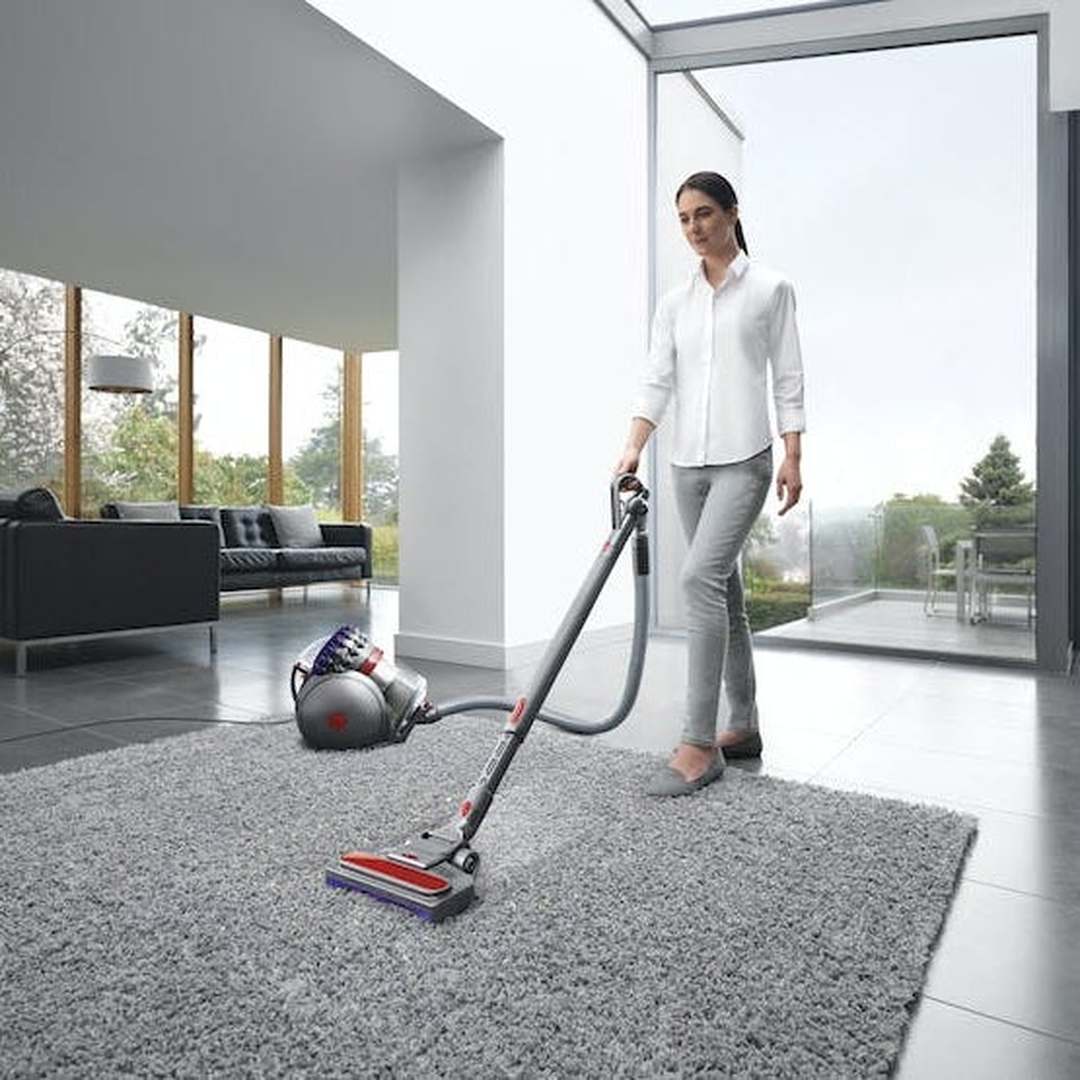 Dyson Big Ball Animal 2 Cylinder Bagless Vacuum Cleaner | 228563-01 Dyson Vacuum Cleaner Euronics Ireland