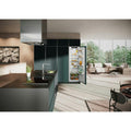 Liebherr IRE 5100 Pure 105 L Integrated Freezer | Fully Built-In Design