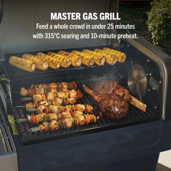 Ninja FlexFlame 5-in-1 Grill & Smoker | PG301UKBL