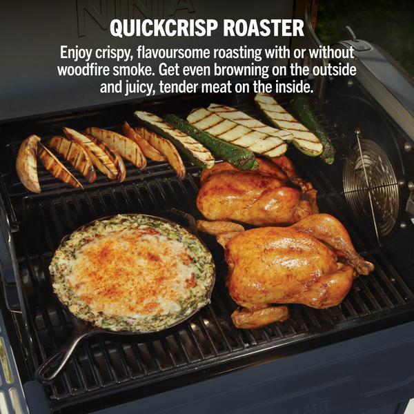 Ninja FlexFlame 5-in-1 Grill & Smoker | PG301UKBL