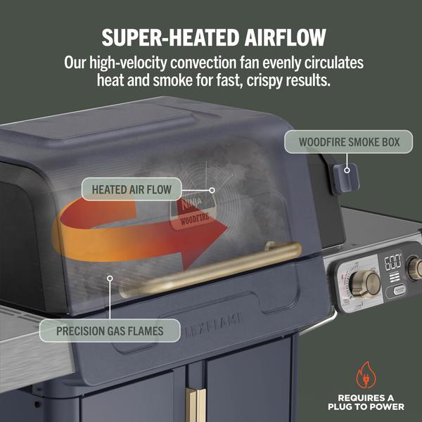 Ninja FlexFlame 5-in-1 Grill & Smoker | PG301UKBL