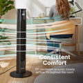 Dimplex EasyBreeze Fan Tower Anthracite product image