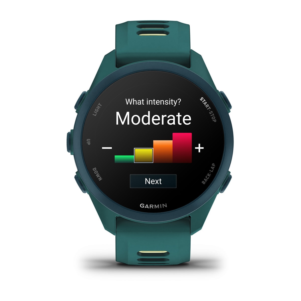 Garmin Forerunner 170 Music GPS Running Smartwatch - display screen
