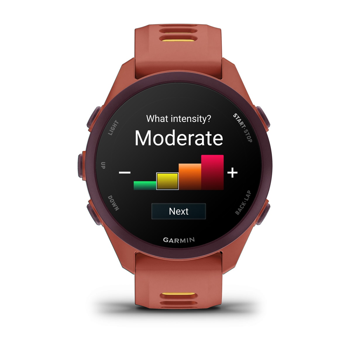 Garmin Forerunner 170 Music GPS Running Smartwatch - display screen