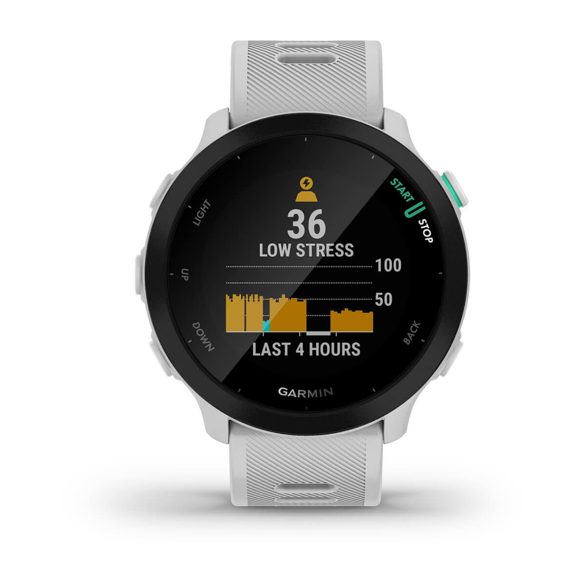 Garmin Forerunner 55 GPS Running Smartwatch - display screen