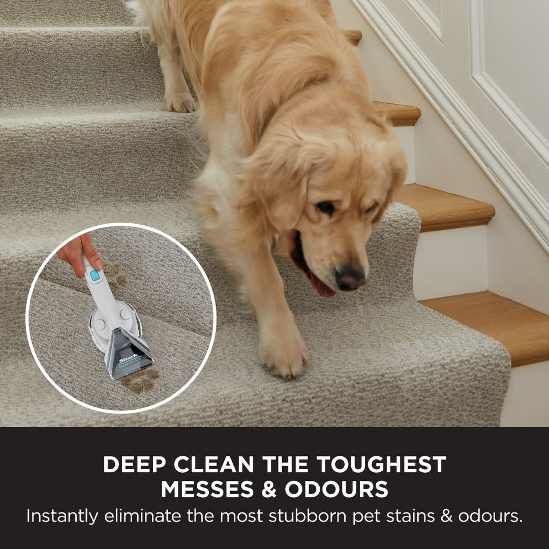 Shark CarpetXpert Deep Carpet Cleaner with Built-In StainStriker | EX200UK Shark Vacuum Cleaner Euronics Ireland