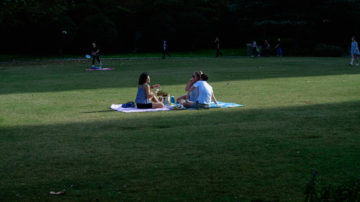 Friends on a picnic blanket in a park in the evening sun