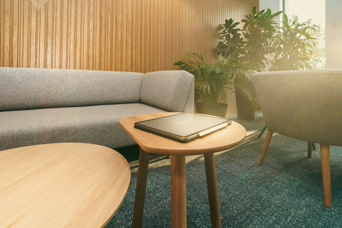 A grey sofa, a side table with a tablet on it and plants in a sunlit room