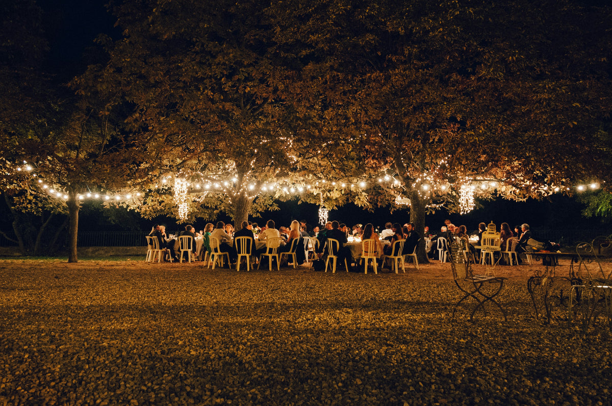 Evening dinner party under trees hung with string lights