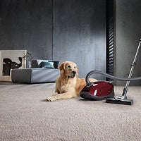 Miele Complete C3 Cat & Dog Tayberry Red | 12031880 Miele Vacuum Cleaner Euronics Ireland