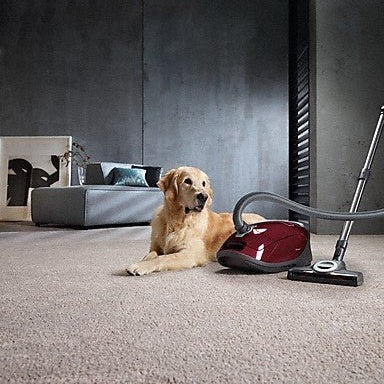 Miele Complete C3 Cat & Dog Tayberry Red | 12031880 Miele Vacuum Cleaner Euronics Ireland