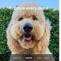 Samsung Galaxy S23 128GB CRM OEMSF Samsung Smartphone Euronics Ireland