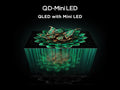 TCL 50"Mini LED with B&O Speakers | 50C7K
