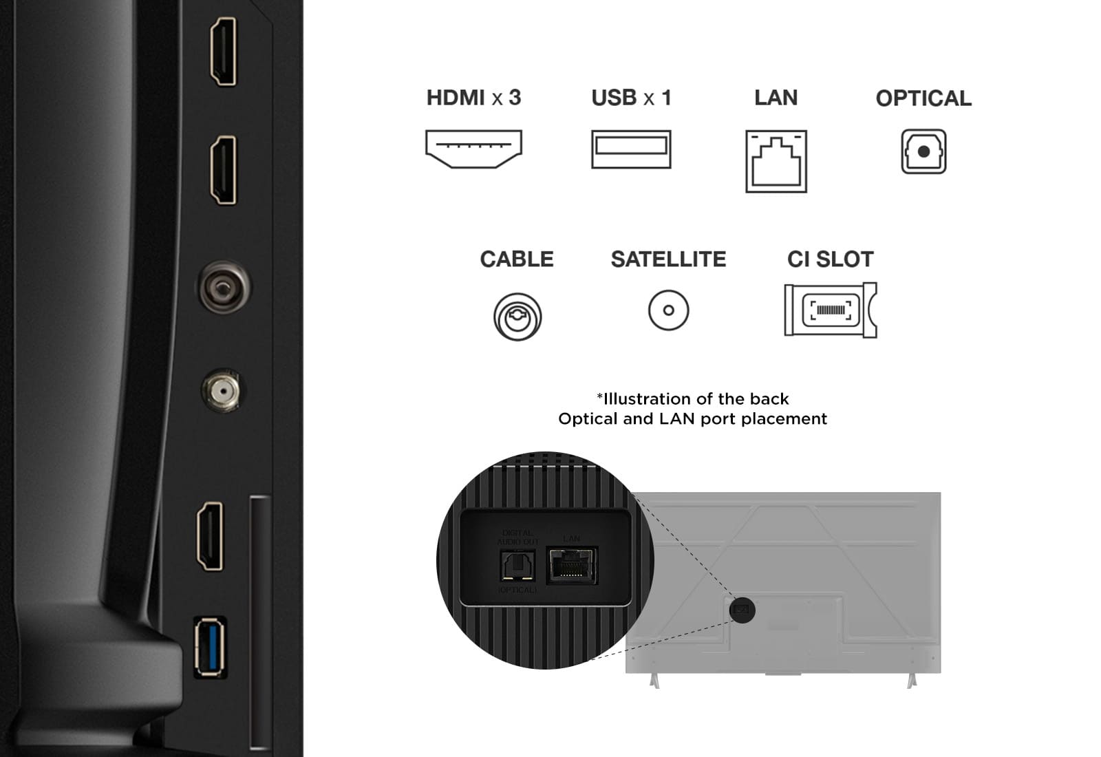 TCL 55" 4K Smart Google TV | 55V6C