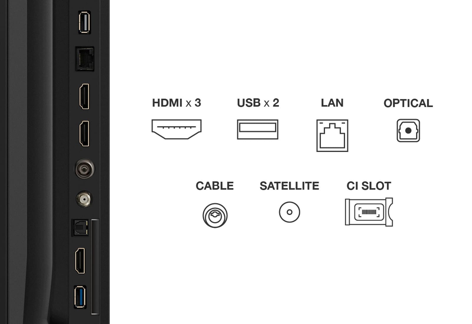TCL 75" 4K Smart Google TV | 75V6C