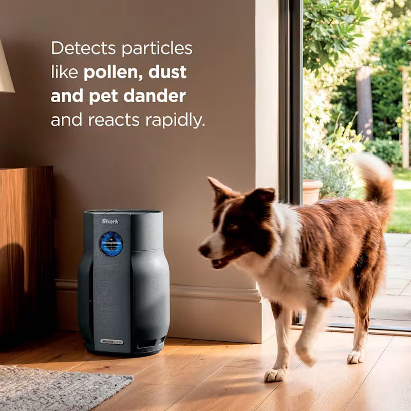 Shark BreatheClear with NeverChange6 Air Purifier Charcoal product image