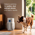 Shark BreatheClear with NeverChange6 Air Purifier Dove product image