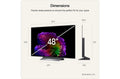 LG 48-inch 4K OLED evo AI TV | OLED48G66LS.AEI