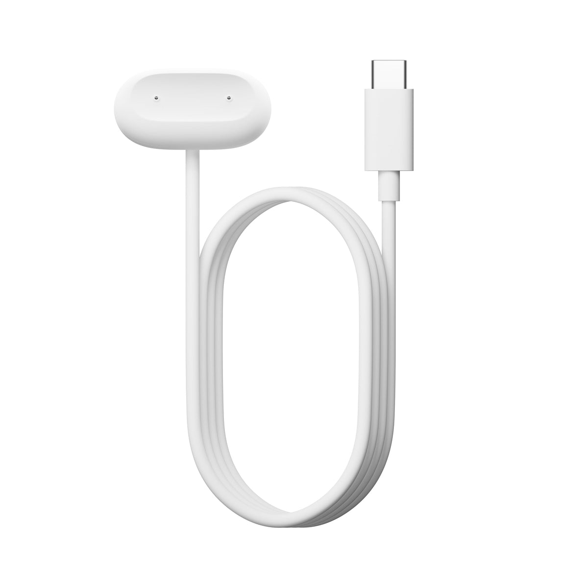 Google Fitbit Air and Edge USB-C Charging Cable - cable and charging dock