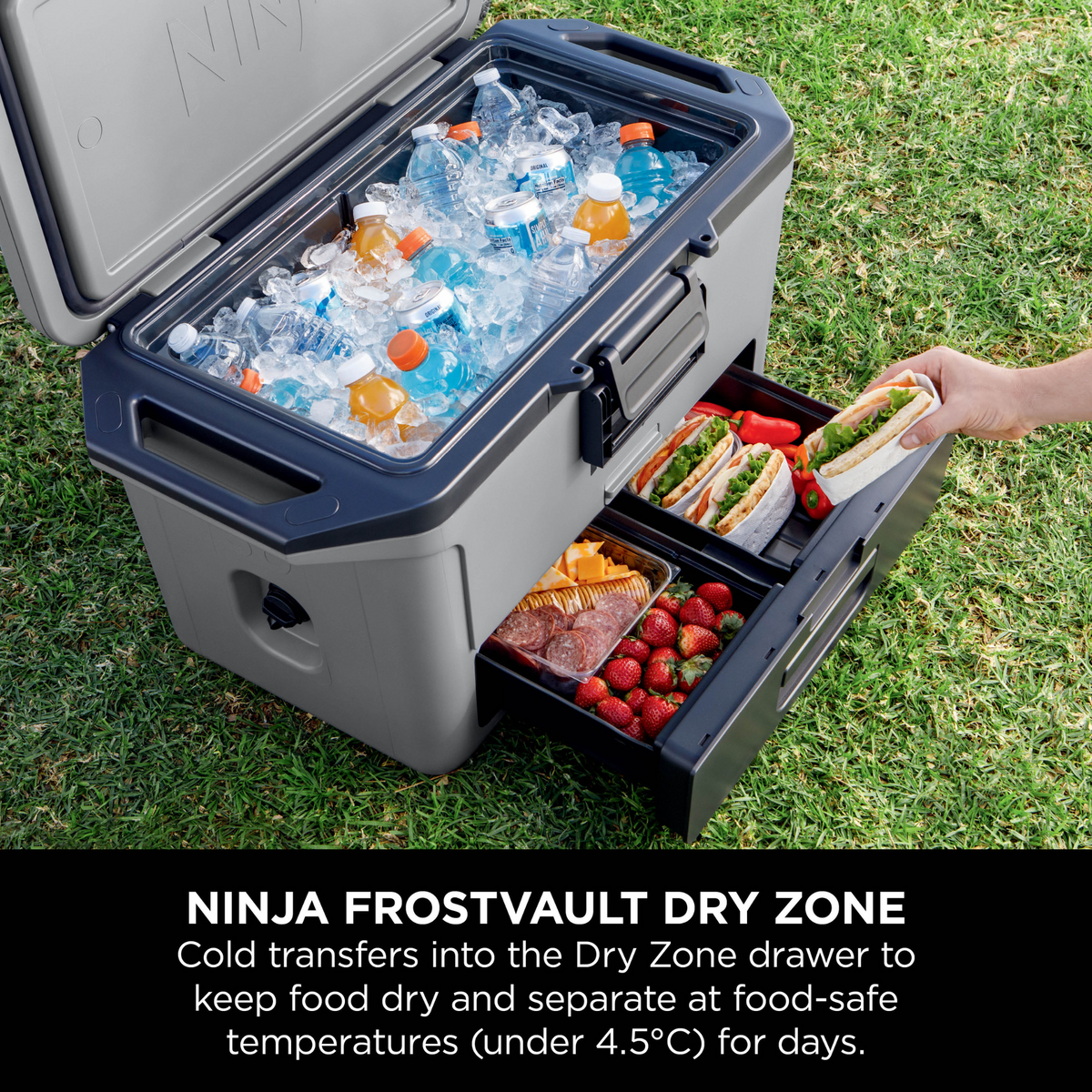 Ninja FrostVault 47L Hard Cooler with Dry Zone - Slate Grey - FrostVault Dry Zone