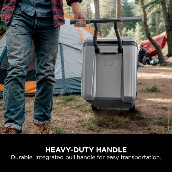 Ninja FrostVault 65QT/61L Wheeled Cooler with Dry Zone Slate Grey product image