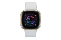 Fitbit Sense 2 - Advanced Health Smartwatch with cEDA Stress Sensor & GPS - Blue Mist/Soft Gold | 79-FB521GLBM