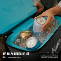 Ninja FrostVault Go 23L 36-Can Backpack Soft Cooler Charcoal Grey product image
