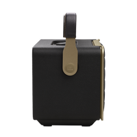 JBL Authentics 300 Smart Home Speaker product image