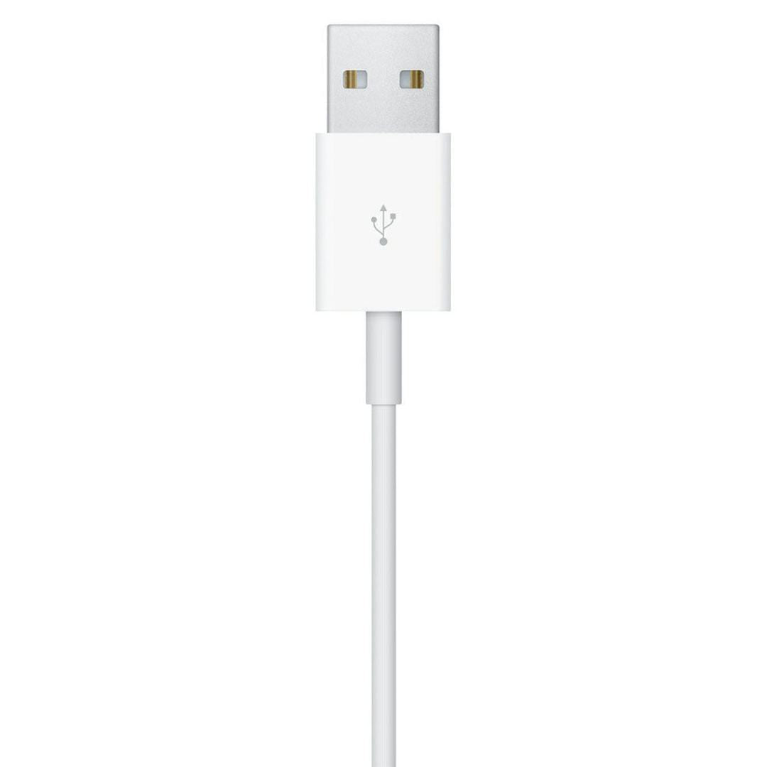 Apple MX2E2ZM/A 1m magnetic charging cable for Apple Watch, close-up of the USB-A plug