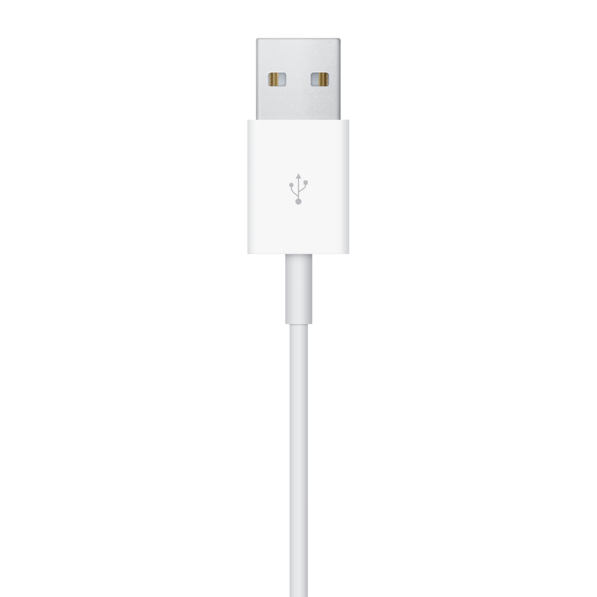Apple Watch Magnetic Charging Cable (1m) - USB-A - USB-A connector