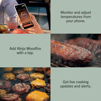 Ninja FlexFlame ProConnect Gas BBQ & Outdoor Cooking System product image