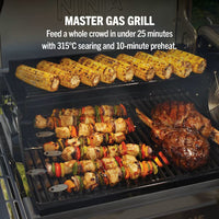 Ninja FlexFlame ProConnect Gas BBQ & Outdoor Cooking System product image