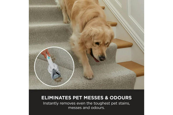 Shark StainStriker Pet Stain & Spot Cleaner | PX200UKT