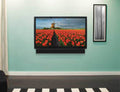 SANUS Universal Soundbar TV Mount - official product image