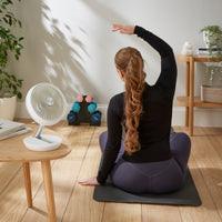 Dimplex Breezepod Fan Cordless Desk White product image