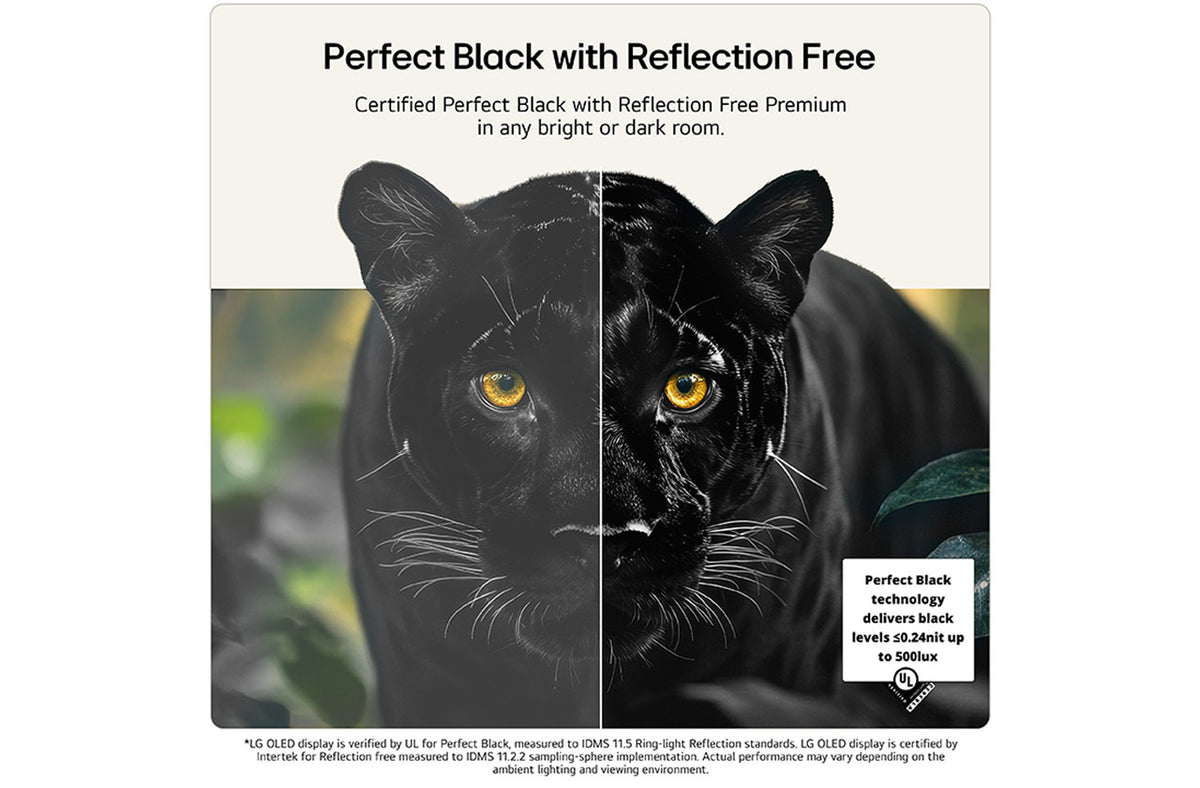 LG 55-inch 4K OLED evo AI TV | OLED55G66LS.AEI