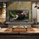 LG 65 Inch B4 OLED 4K Smart TV 2024 | OLED65B46LA.AEK LG TV Euronics Ireland