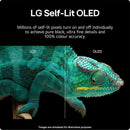 LG 65 Inch B4 OLED 4K Smart TV 2024 | OLED65B46LA.AEK LG TV Euronics Ireland