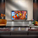 LG 86 Inch NANO81 NANO TV 2024 | 86NANO81T6A.AEK LG TV Euronics Ireland