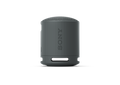 Sony SRS-XB100 Portable Bluetooth Speaker - Black - product view