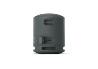 Sony SRS-XB100 Portable Bluetooth Speaker - Black - product view