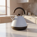 Morphy Richards Venture 1.5L Blue Pyramid Kettle - Duck Egg | 100136