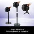 Shark FlexBreeze Portable Fan | FA220UK Shark Air Purifier Euronics Ireland
