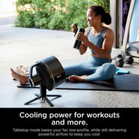 Shark FlexBreeze Portable Fan | FA220UK Shark Air Purifier Euronics Ireland
