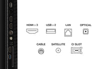 TCL 65" 60Hz QLED Google TV | 65P7K
