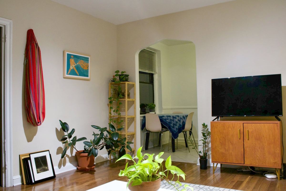 Living room in the evening with a TV on a wooden cabinet, house plants and framed prints