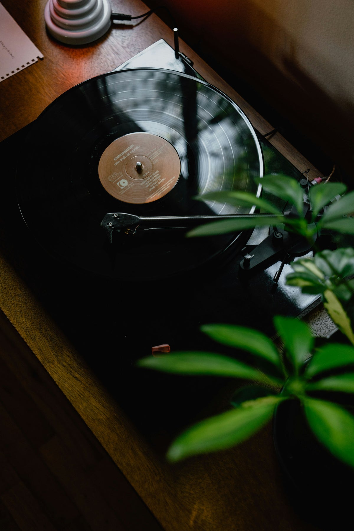 A record playing on a black turntable on a wooden sideboard, with a plant in the foreground
